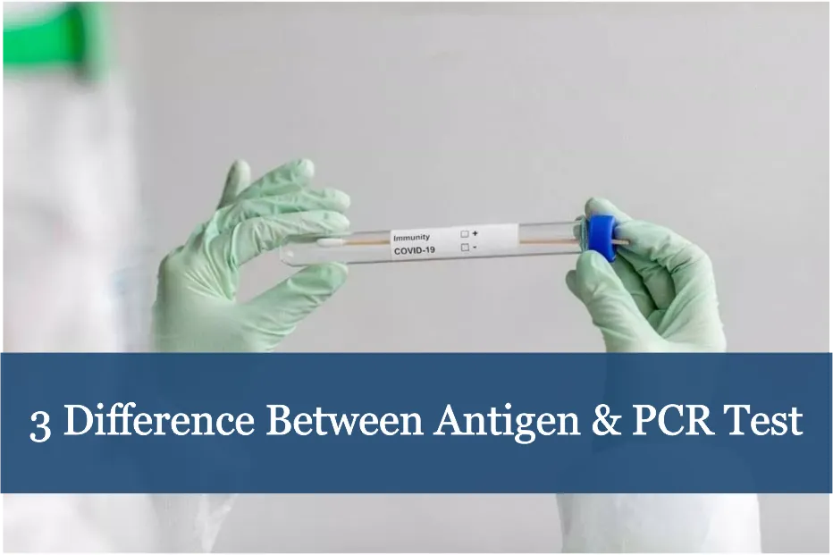 3 Difference Between Antigen & PCR Test