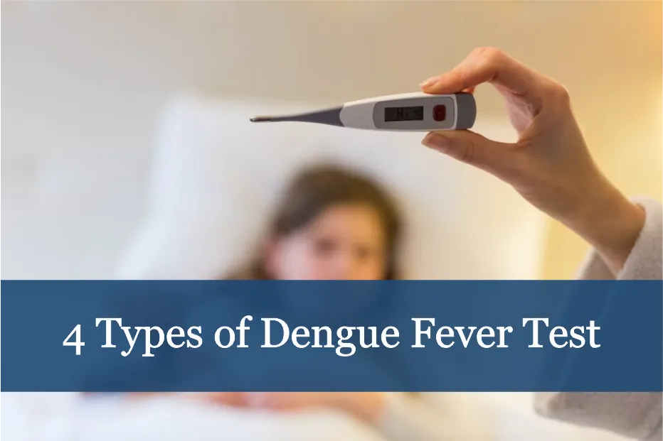 4 Types of Dengue Fever Test-