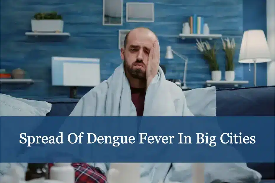 Spread of dengue fever in big cities-