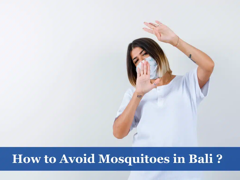 How to Avoid Mosquitoes in Bali