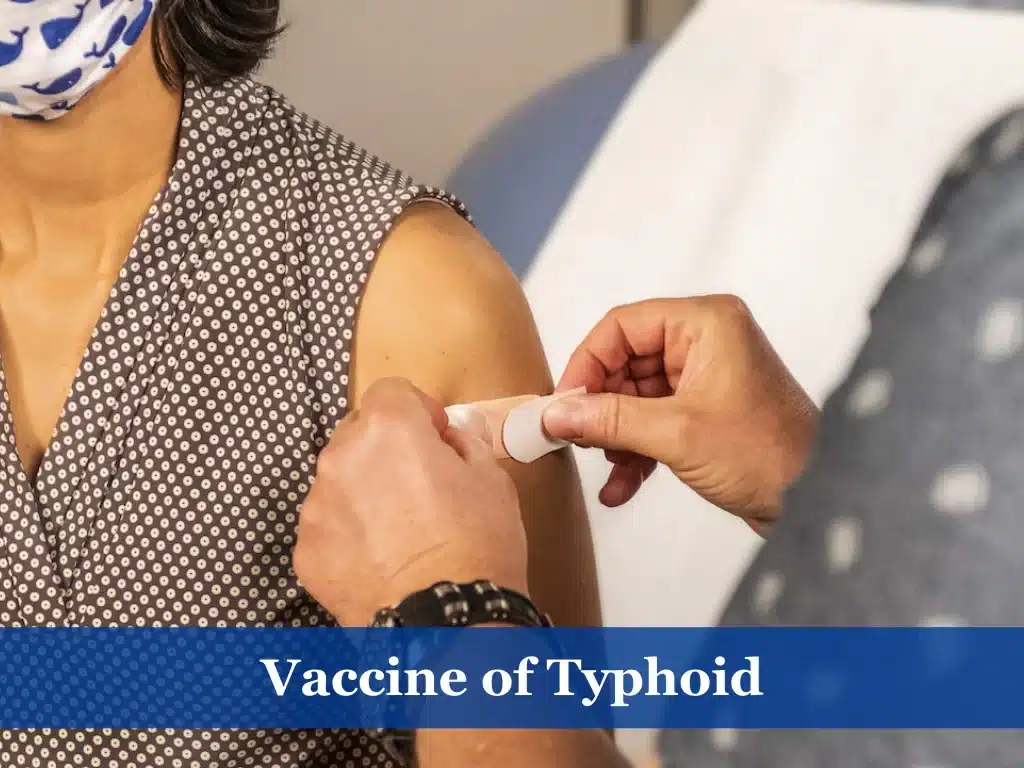 Vaccine of Typhoid