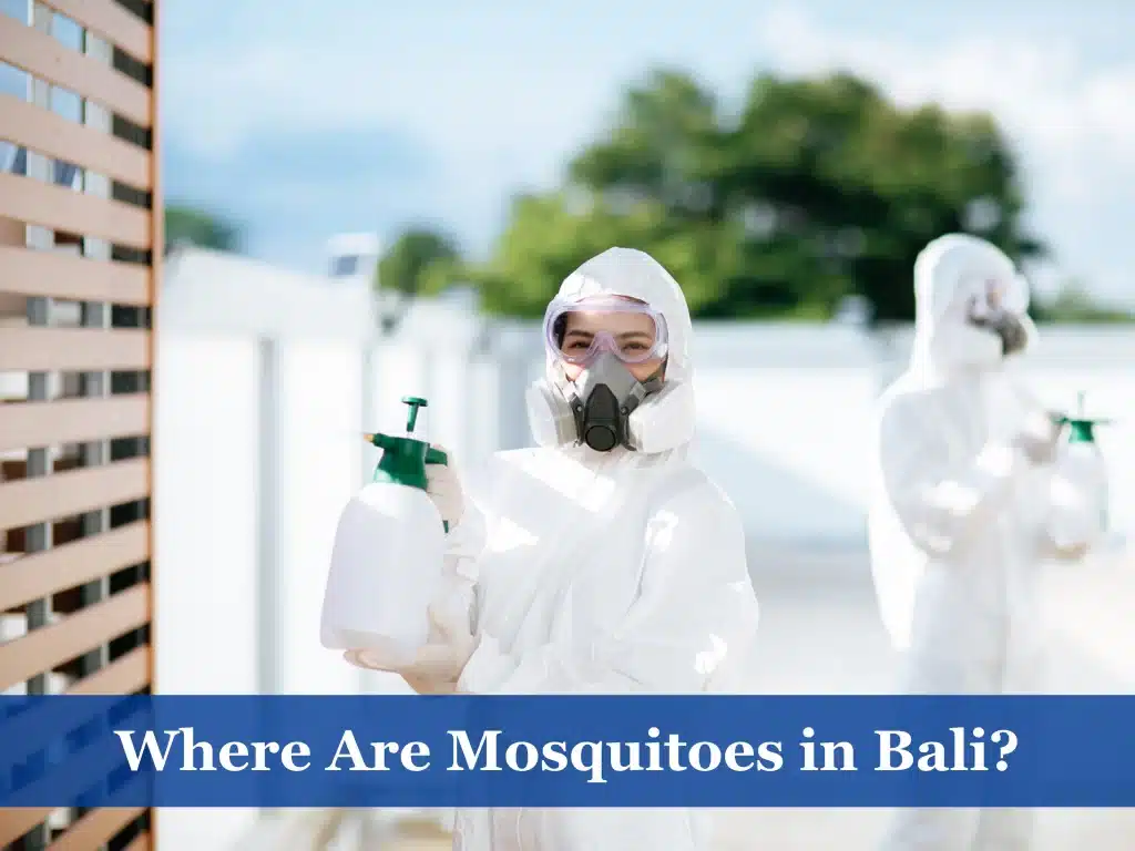 Where Are Mosquitoes in Bali
