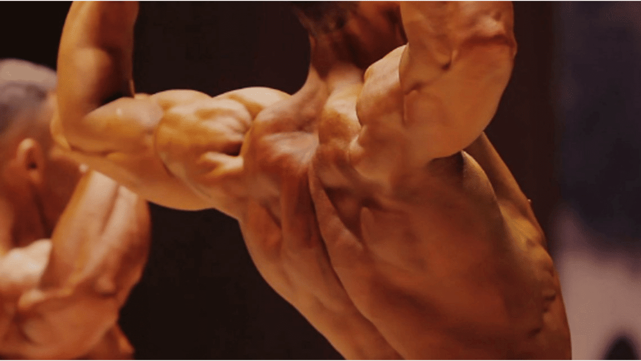 Body Builder Test Bali