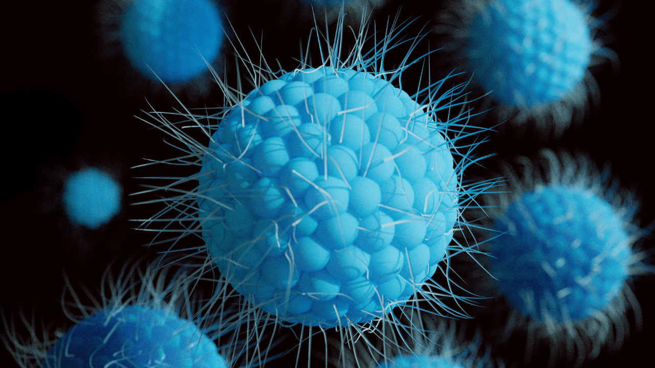 Viral infections