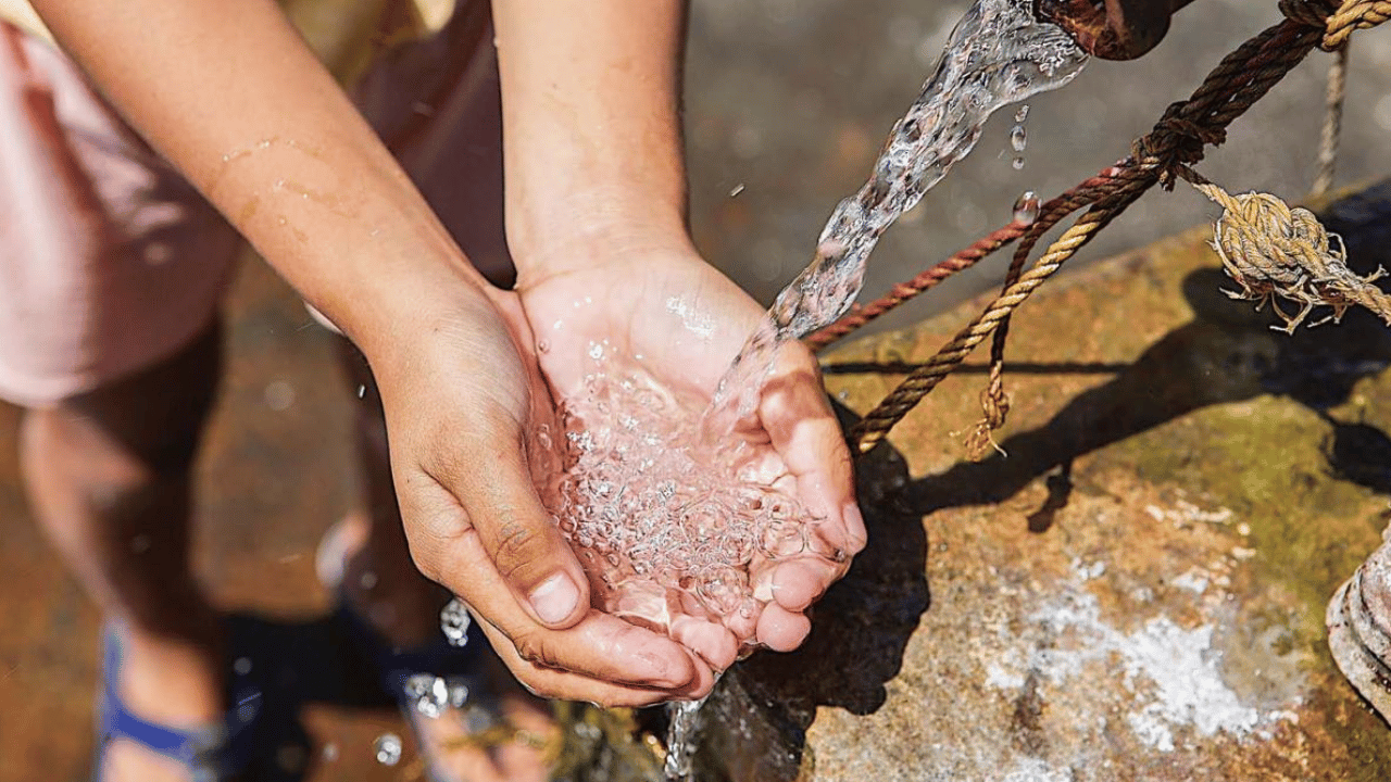 How to Prevent Dengue Fever Bali