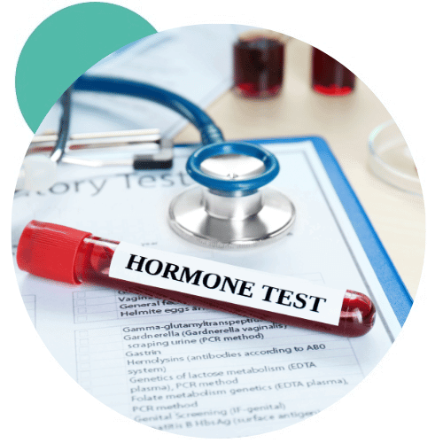 Hormonal Test Bali - FI