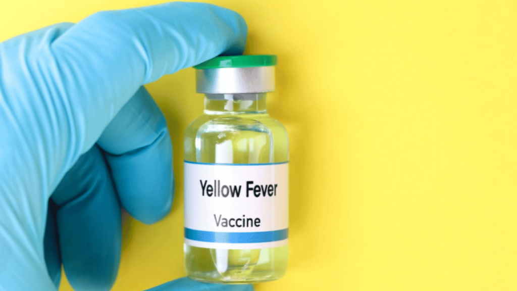 Yellow Fever Vaccine Bali