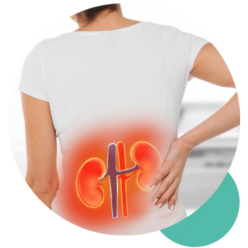 Kidney Function Test