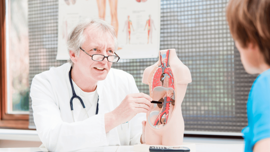 What Is Tested in a Kidney Function Test