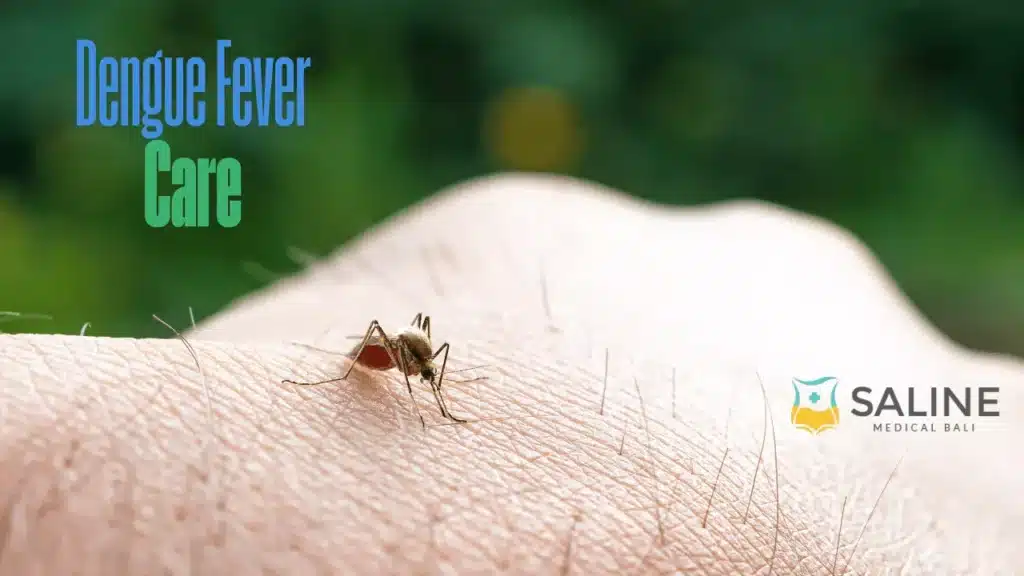 dengue-fever-care