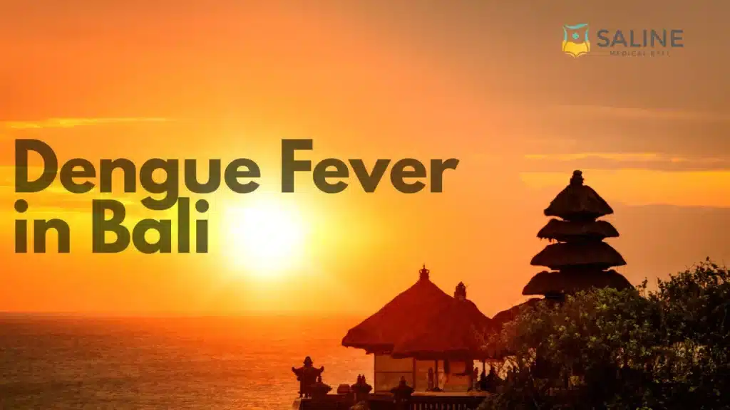 dengue-fever-in-bali-why-it-matters