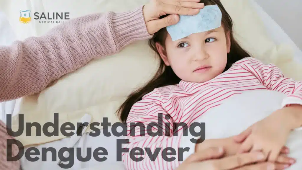 understanding-dengue-fever