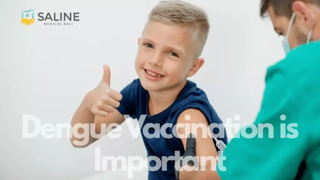 why-dengue-vaccination-is-important-in-bali