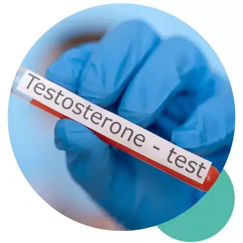 testosterone-test-bali-fi