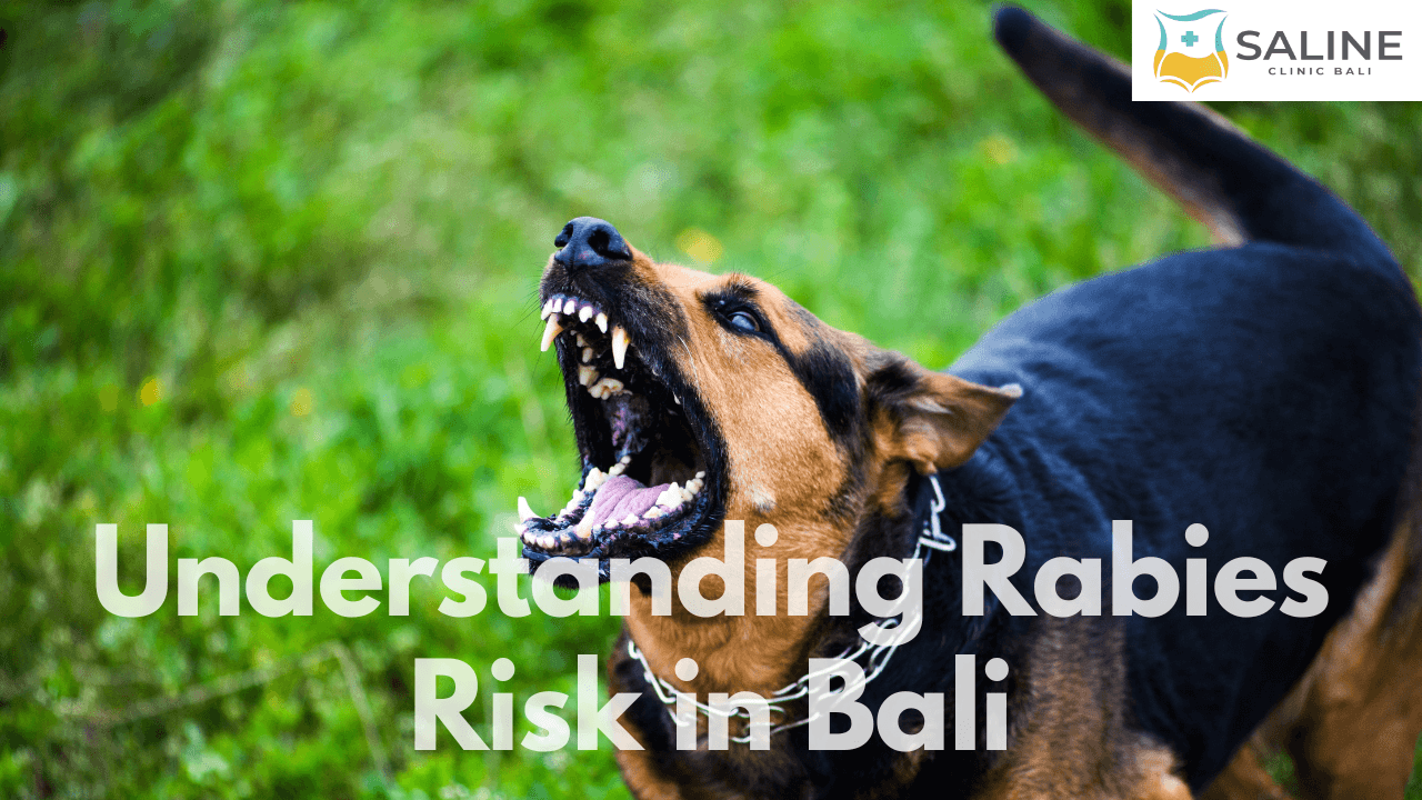Understanding Rabies Risk in Bali