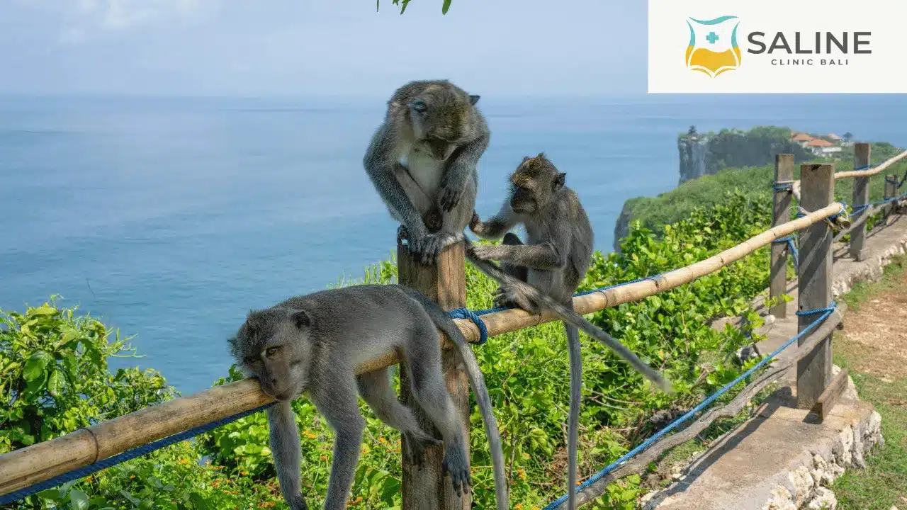 Bali Belly IV Drip Uluwatu: Mobile Wellness Care for Travelers in Bali